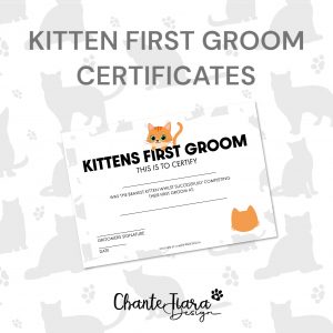 kitten first groom certificates