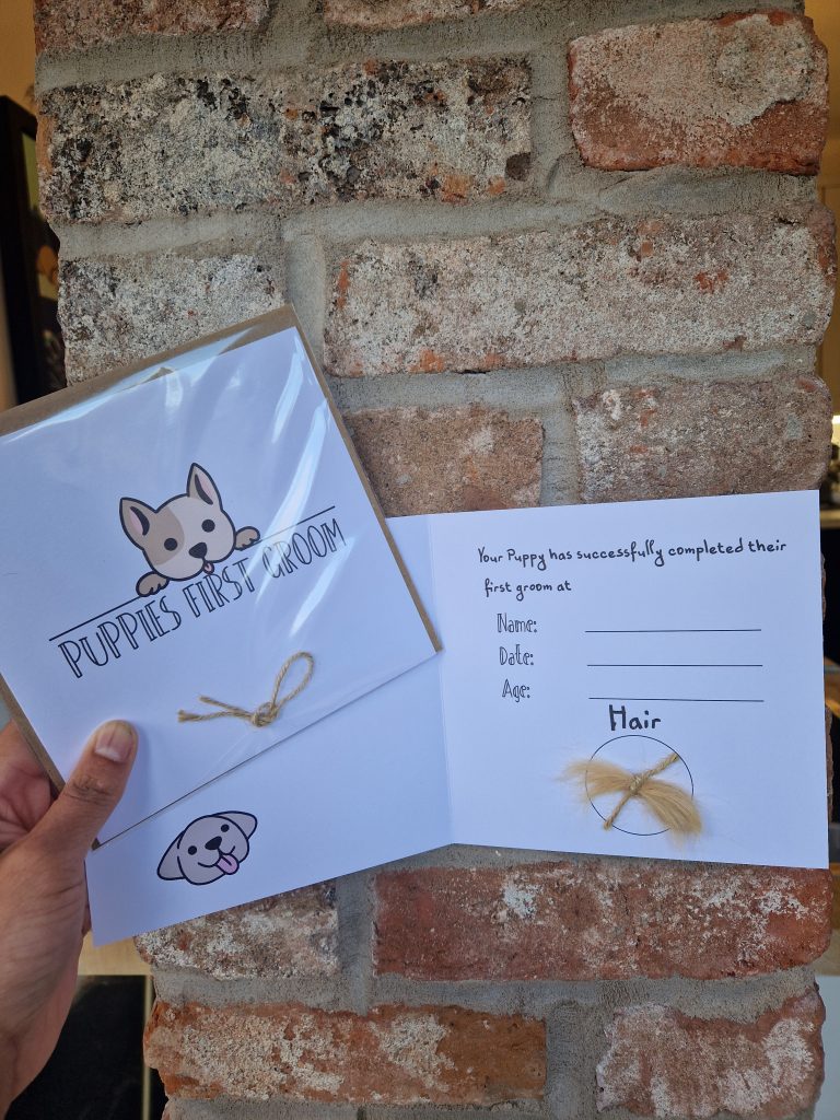 PUPPIES FIRST GROOM CARD