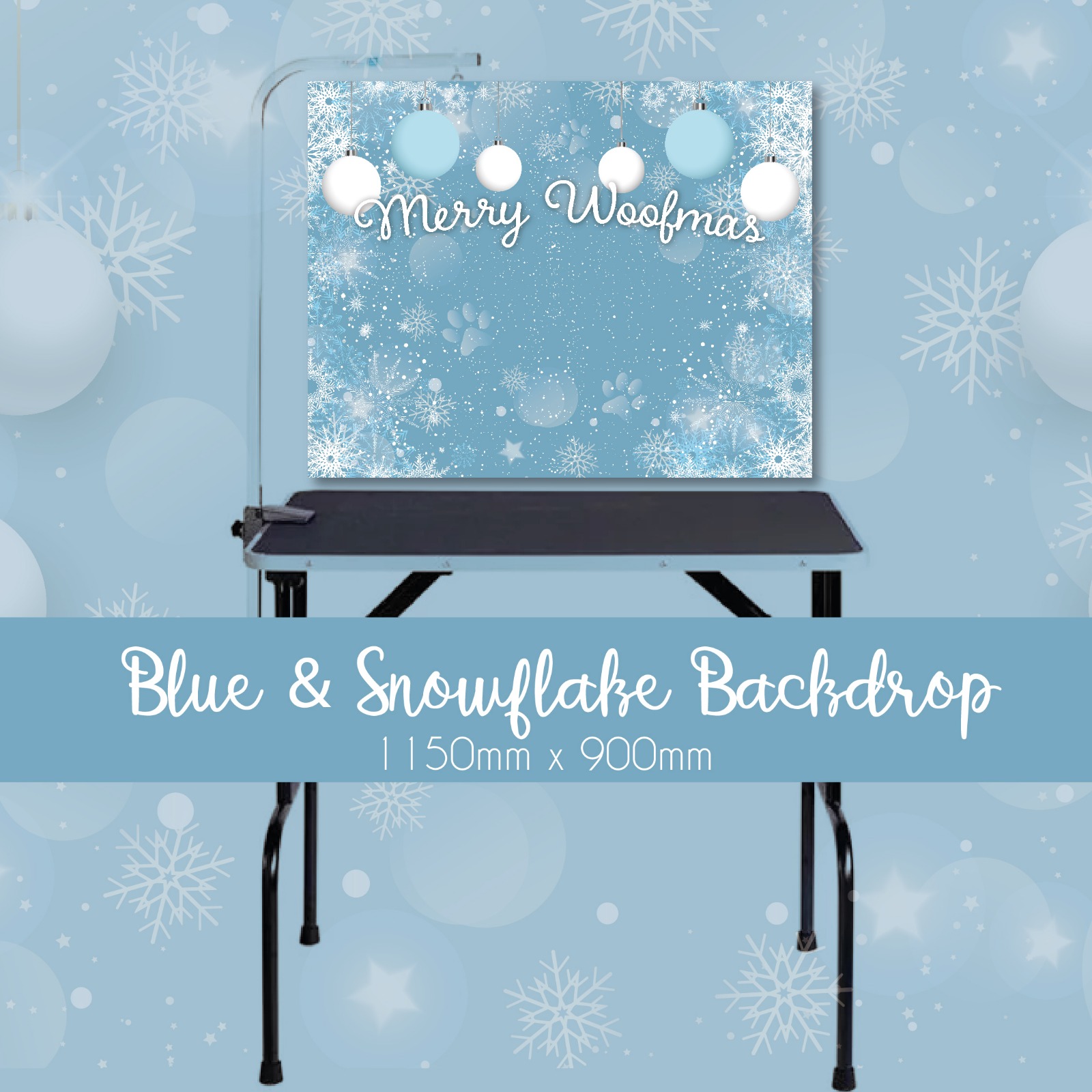 Blue & Snowflake Backdrop
