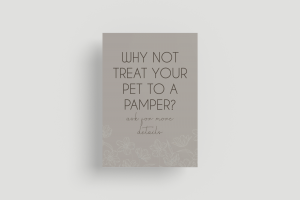 Minimal a4 flyer mockup design (1)