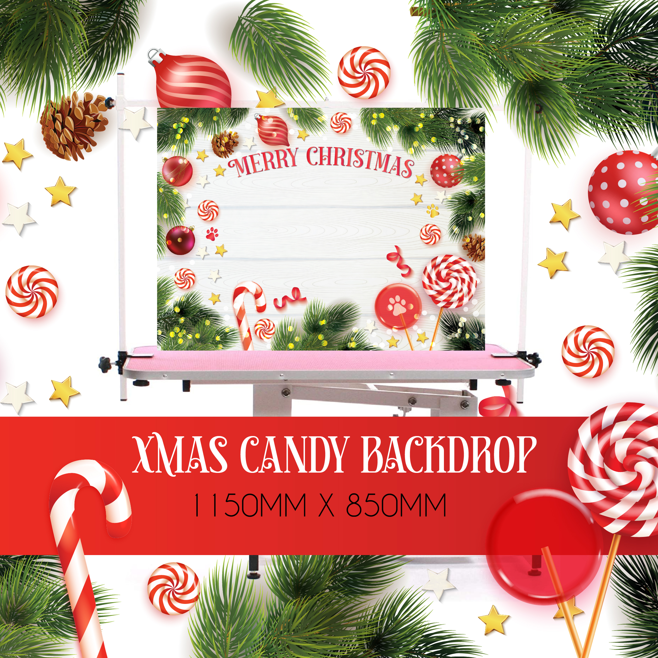 CHRISTMAS BACKDROP