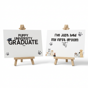 freepik__add-these-images-to-one-with-a-white-background-ke__3195