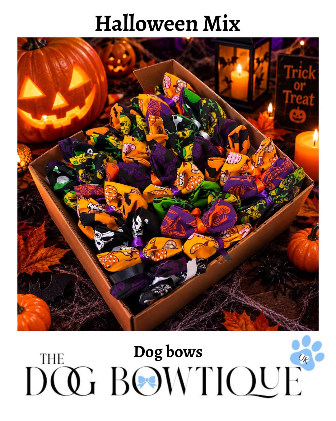 Halloween mix bows